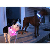 Safety Pet Collar With LED And Printed Design By Project Pet Lovers Club