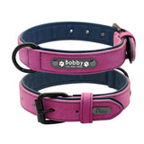 Personalized Leather Dog Collar With Custom Name Tags!
